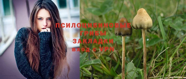 кристаллы Пролетарск
