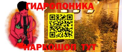 шишки Кунгур
