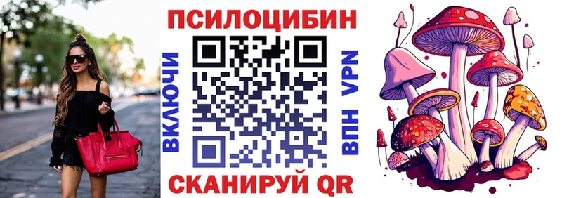 Псилоцибиновые грибы Magic Shrooms  omg ТОР  Каменск-Шахтинский 