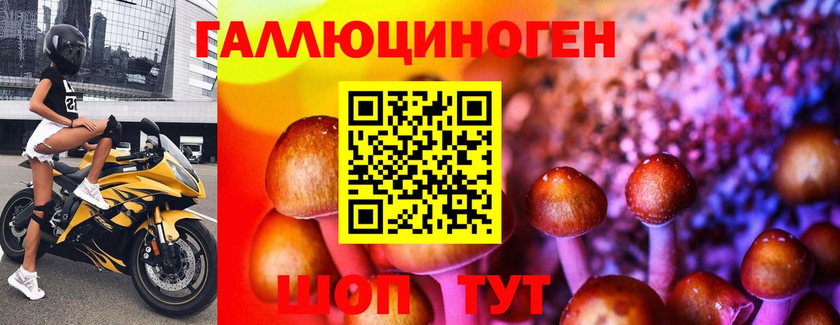 наркота  Вход с VPN  Каменск-Шахтинский  Псилоцибиновые грибы мухоморы 