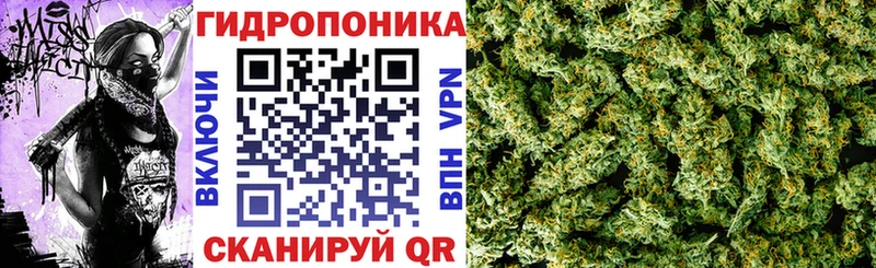 это официальный сайт  купить  сайты  Каменск-Шахтинский  Каннабис White Widow  кракен tor 